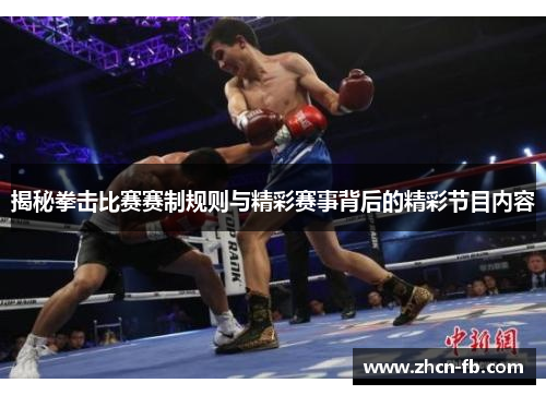 揭秘拳击比赛赛制规则与精彩赛事背后的精彩节目内容