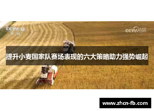 提升小麦国家队赛场表现的六大策略助力强势崛起