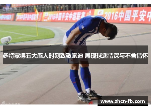 多特蒙德五大感人时刻致敬泰迪 展现球迷情深与不舍情怀